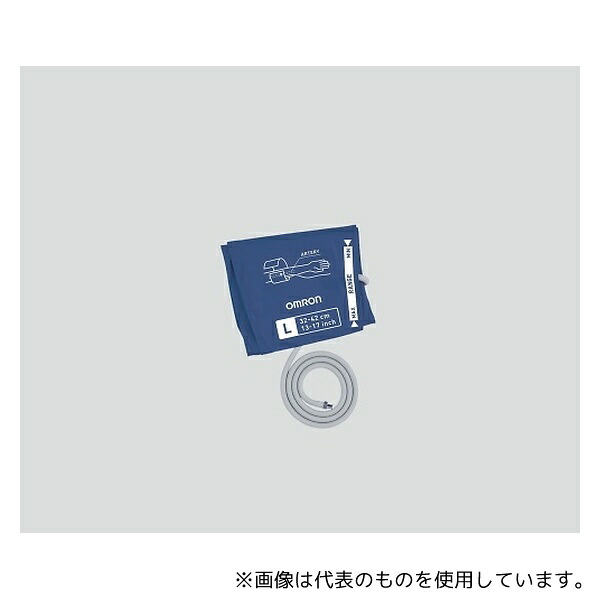 緑であること活動の領域
