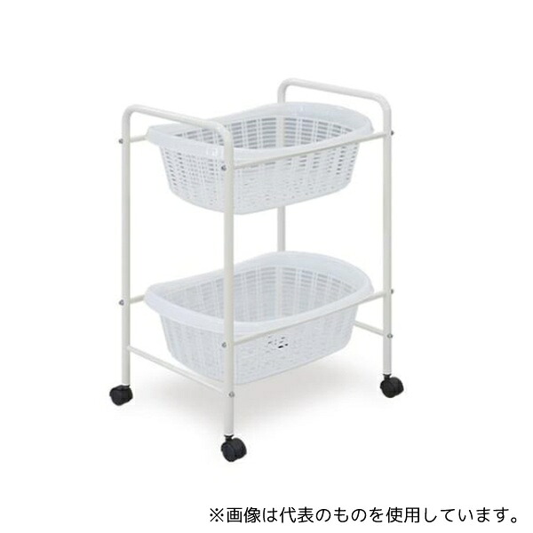緑であること活動の領域