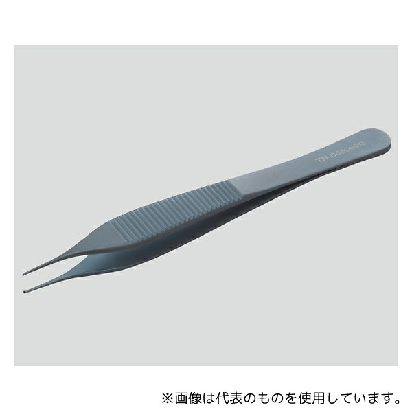 緑であること活動の領域