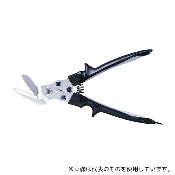 緑であること活動の領域