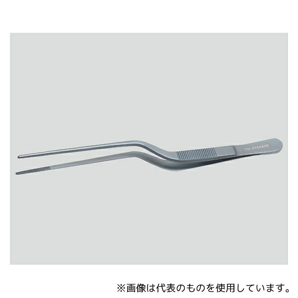 緑であること活動の領域