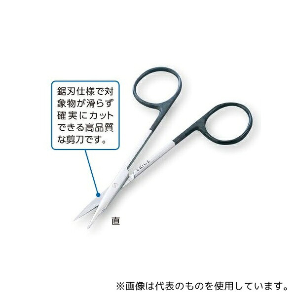 緑であること活動の領域