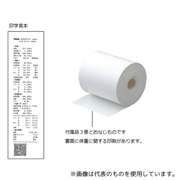 緑であること活動の領域