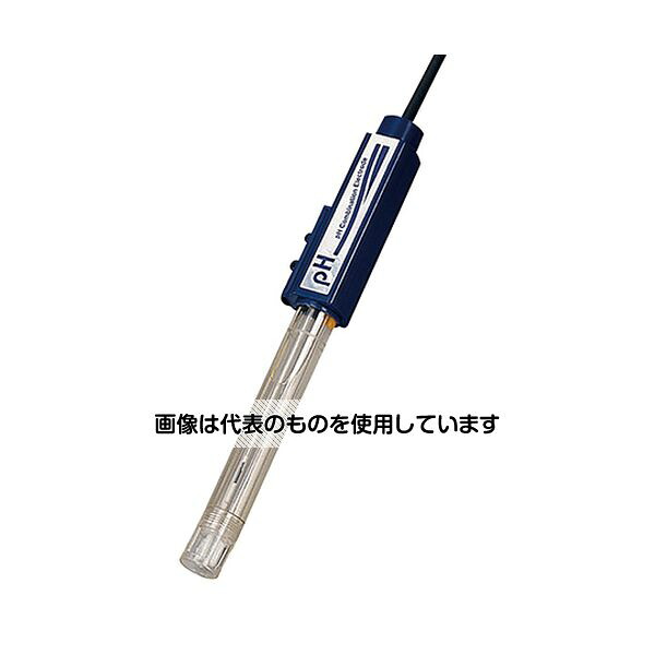 緑であること活動の領域