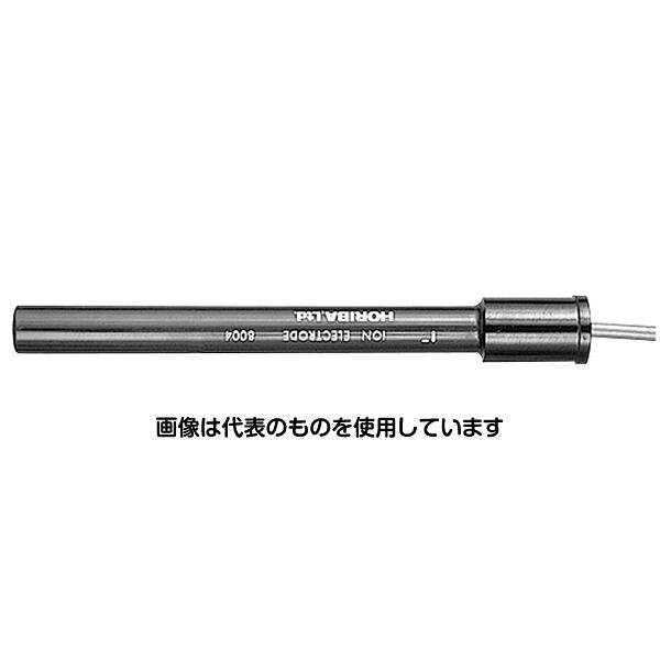 アズワン(AS ONE) ヨウ化物イオン電極 8004-10C 入数：1式