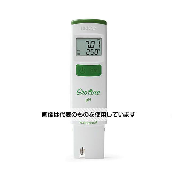 緑であること活動の領域
