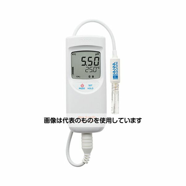 緑であること活動の領域