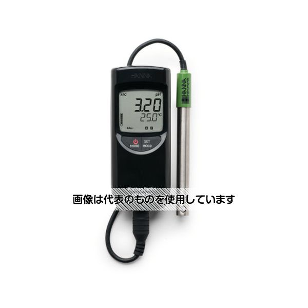 緑であること活動の領域