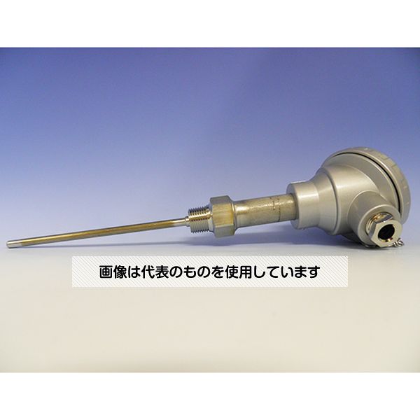 林電工 シース測温抵抗体 D-SR2N-64-100 1本
