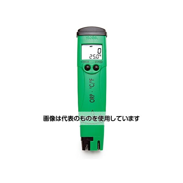 緑であること活動の領域