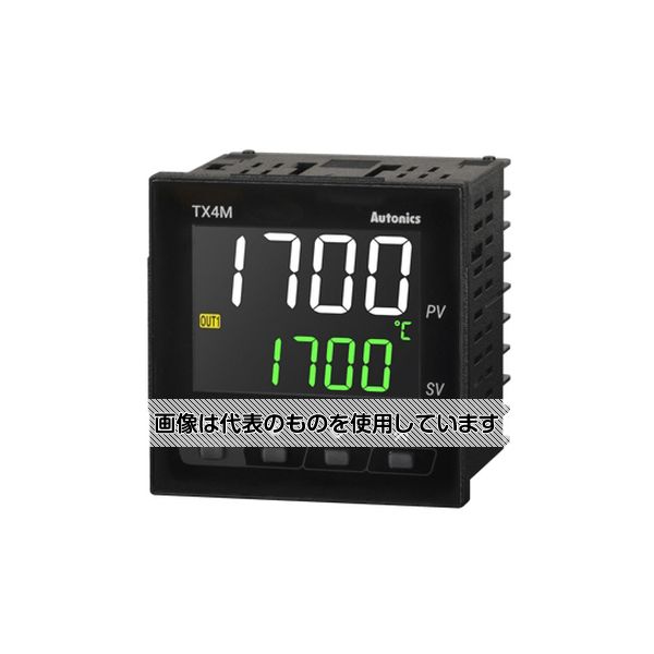 緑であること活動の領域