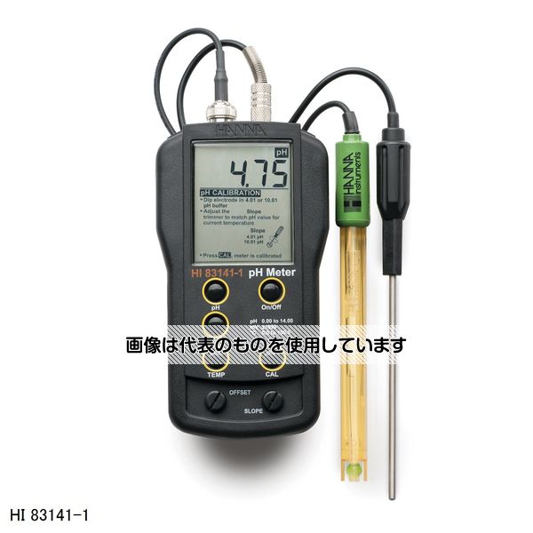 緑であること活動の領域