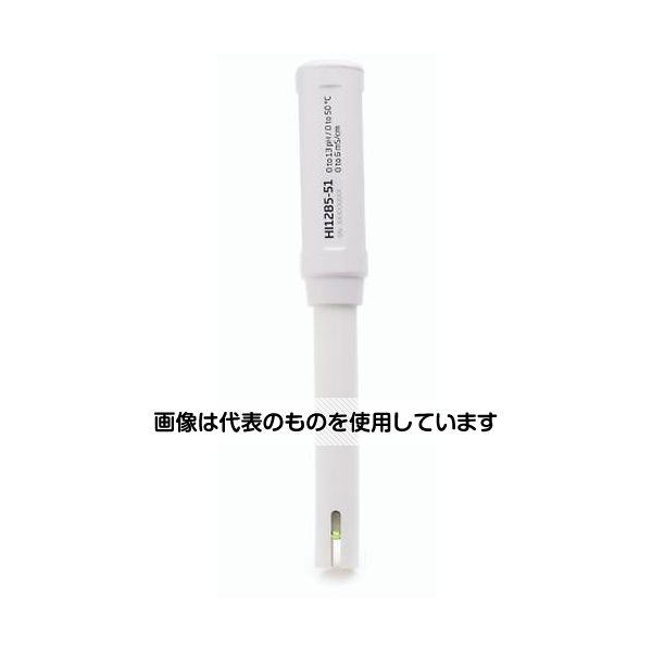 緑であること活動の領域