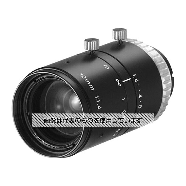 緑であること活動の領域