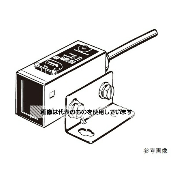 緑であること活動の領域