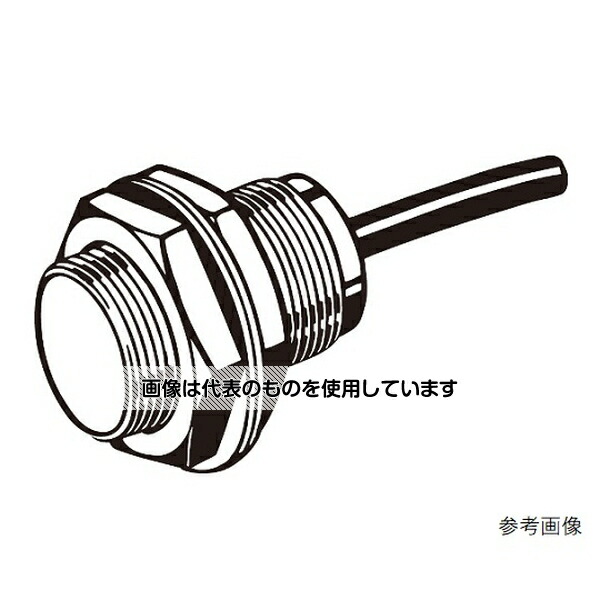 緑であること活動の領域 温度計-DIY・工具
