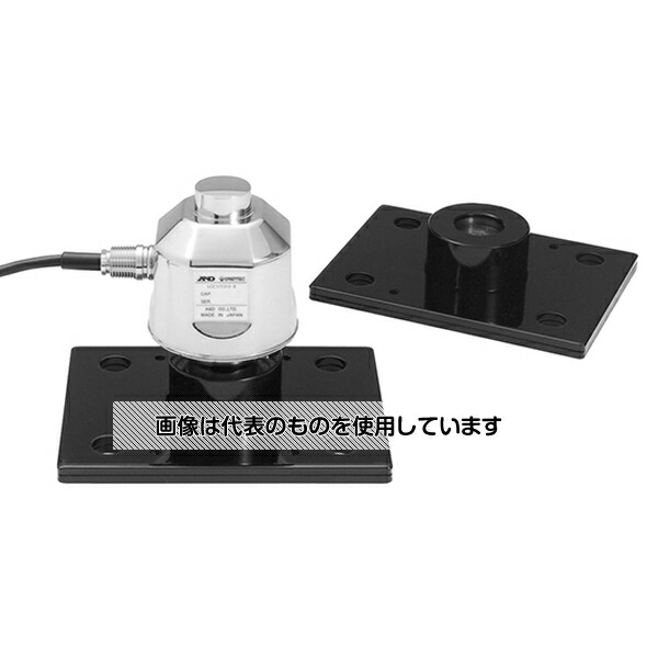 緑であること活動の領域