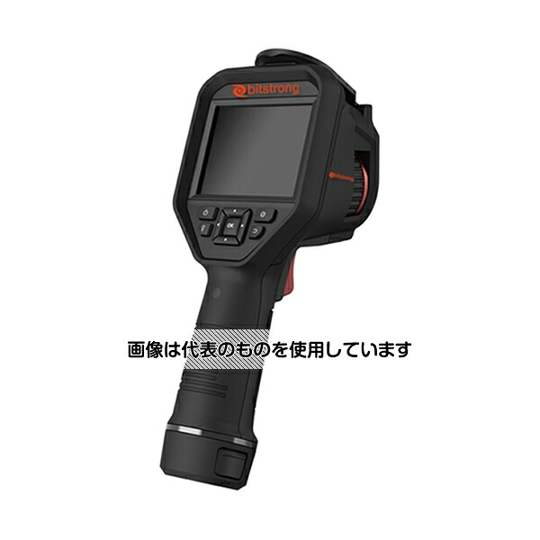 緑であること活動の領域