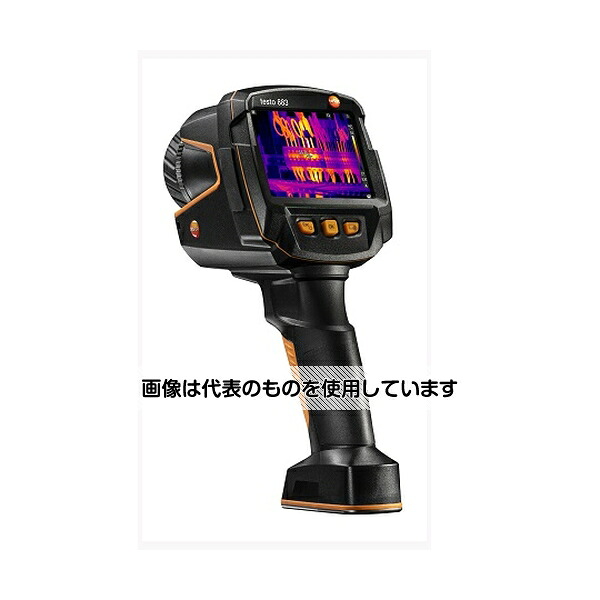 緑であること活動の領域