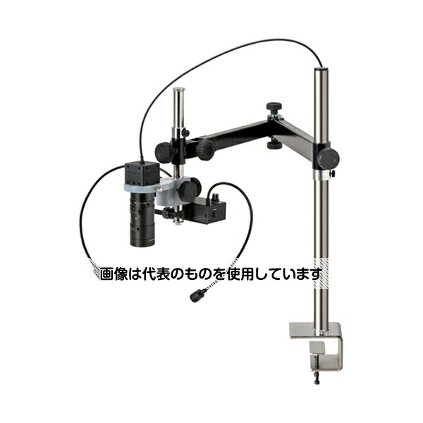 緑であること活動の領域 その他-花・ガーデン・DIY-DIY・工具