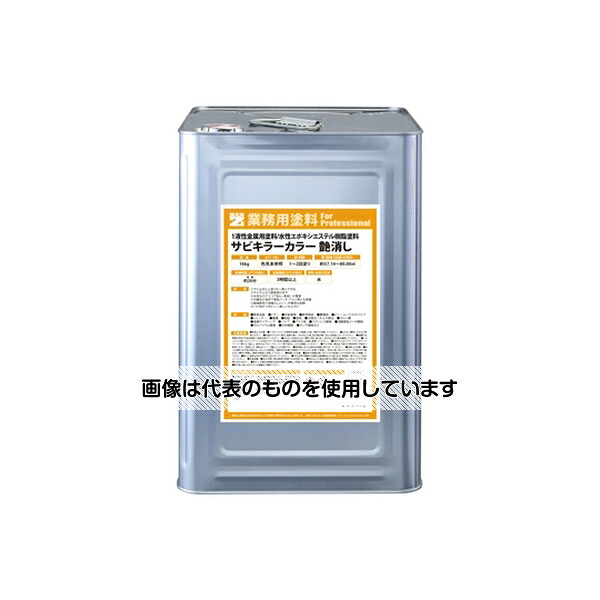 BANｰZI サビキラーカラー艶消し16kg艶消し黒 B-SKCT/K16B 入数：1個