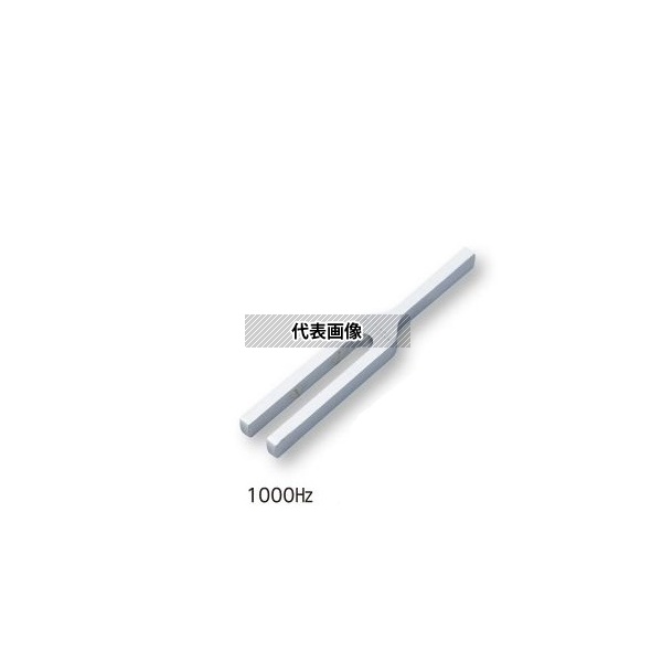 緑であること活動の領域