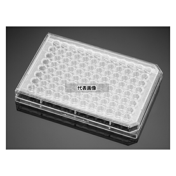 Corning(Falcon) 353077 セルカルチャープレート マルチウェルプレート・U底フタ付き 96ウェル 個包装 1箱(1枚×50袋入)