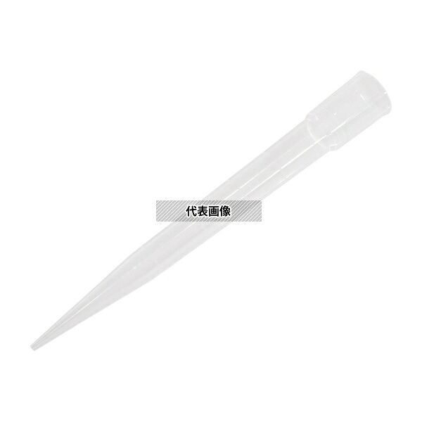 緑であること活動の領域