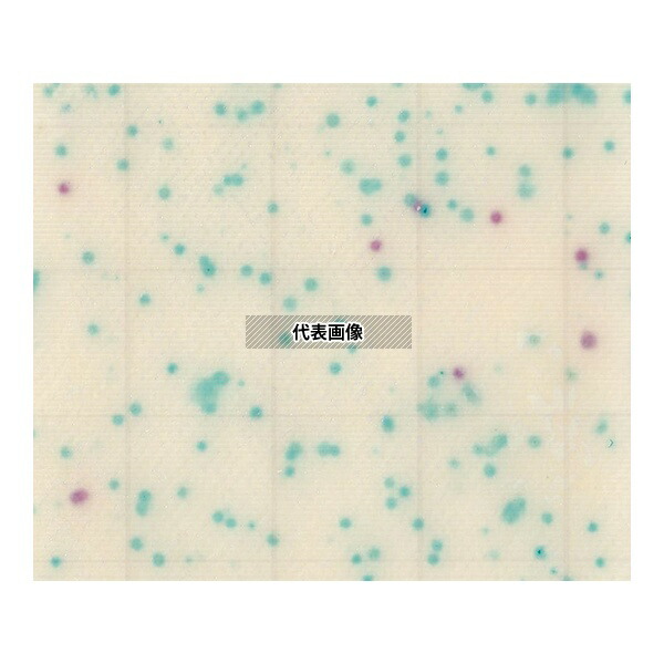 JNC SK04A25 MC-Media Pad EC 大腸菌・大腸菌群用 (1000枚)
