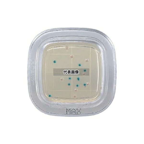 栄研化学 PD0008 ぺたんチェック？DD MAX寒天培地 1箱(100枚入)