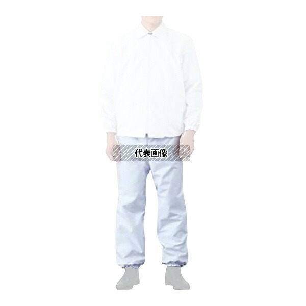 緑であること活動の領域