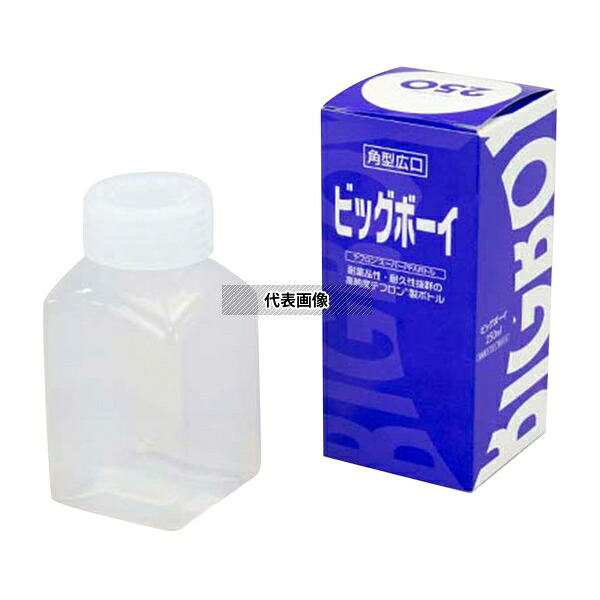 緑であること活動の領域