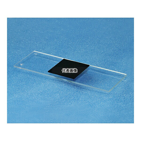 アズワン(AS ONE) 多層カーボンナノチューブアレイ 長さ1.0±0.1mm A01-02 1個
