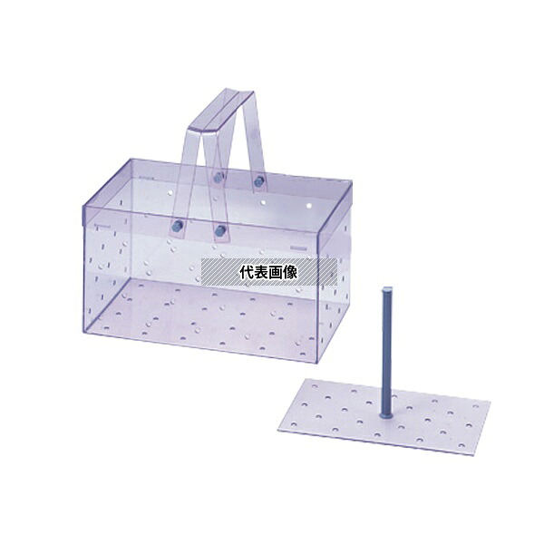 緑であること活動の領域