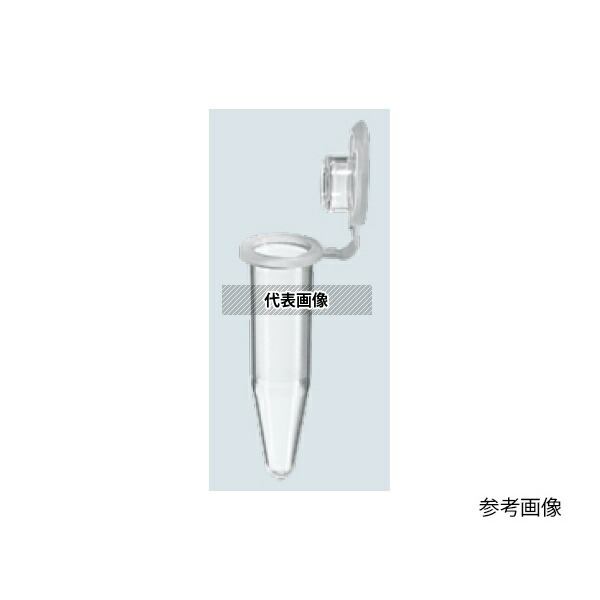 緑であること活動の領域