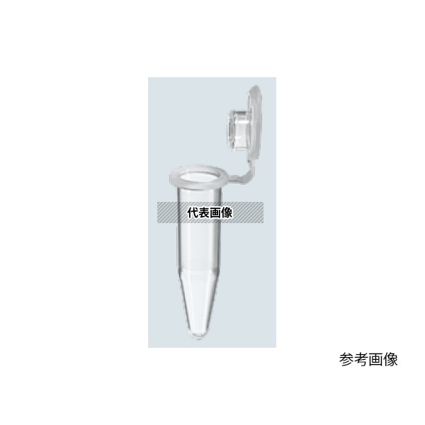 緑であること活動の領域
