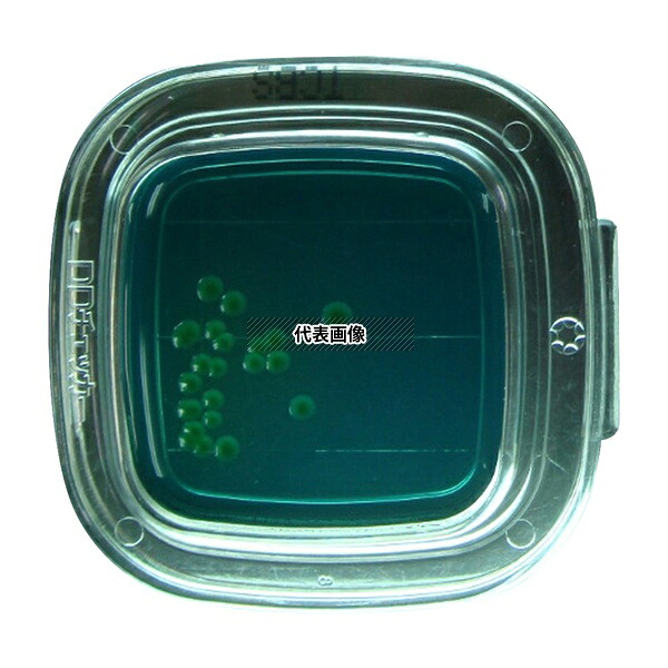 極東製薬工業 4261 DDチェッカー(細菌検出用培地) TCBS寒天培地 腸炎ビブリオ検出用 1箱(100枚入)