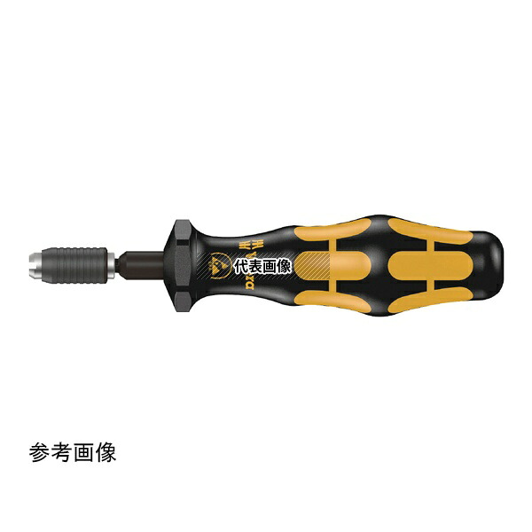 緑であること活動の領域