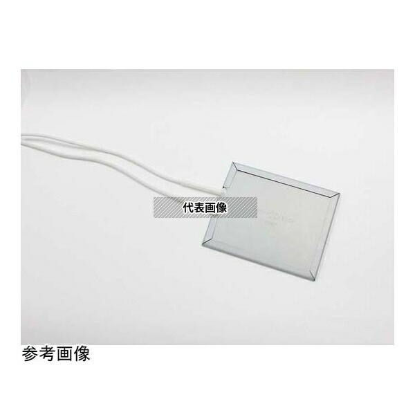 坂口電熱 SH1060LT スペースヒーター(リード式)120V60W