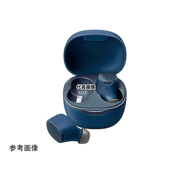 PGA PG-BTE17TW6NV 完全ワイヤレス ステレオイヤホン カナルタイプ ネイビー