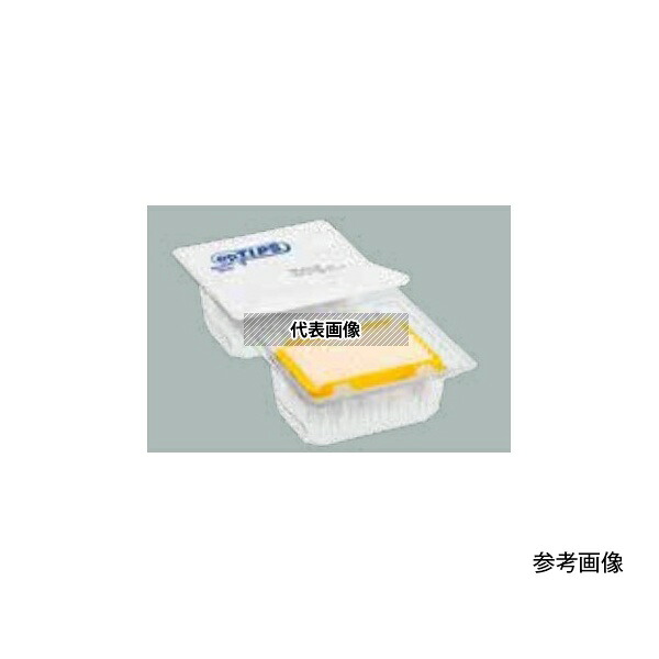 緑であること活動の領域