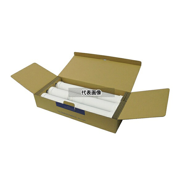 ADVANTEC RF000133 イオン交換樹脂カートリッジ 1箱(3本入)｜ファーストFACTORY