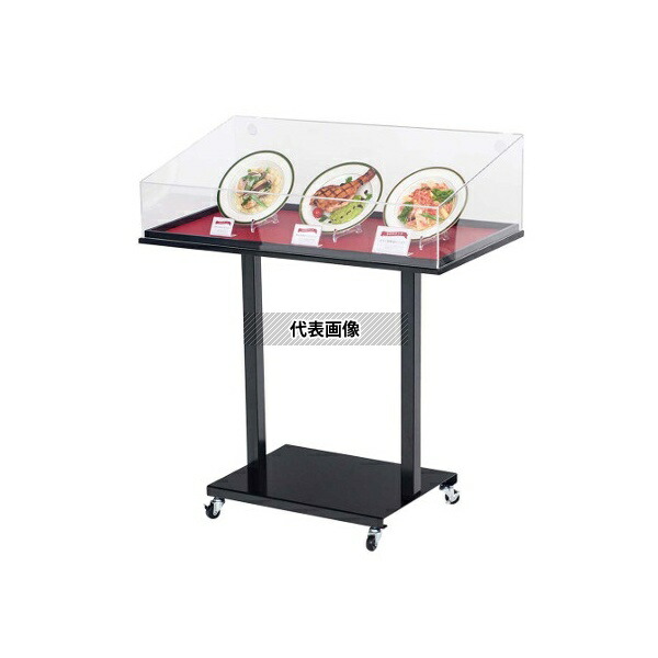 友屋 5760000 サンプルケーススタンド ワイド 56997