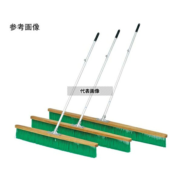 緑であること活動の領域