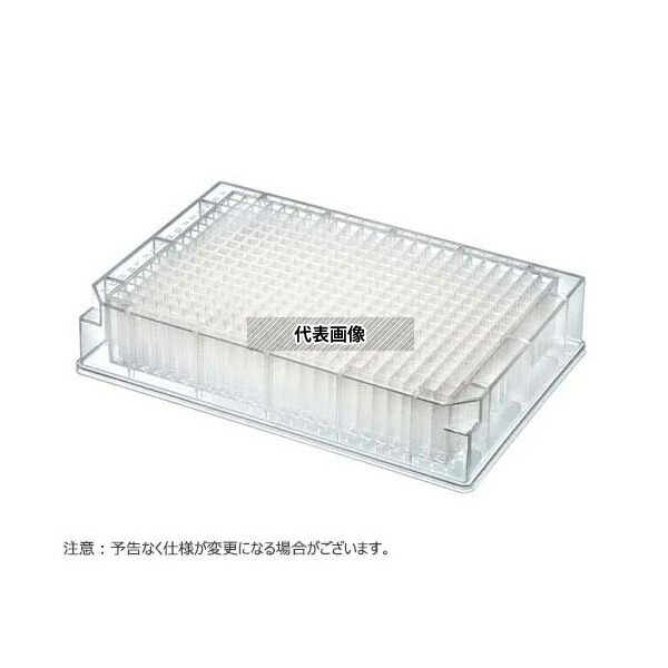 緑であること活動の領域