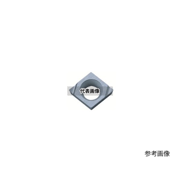 緑であること活動の領域