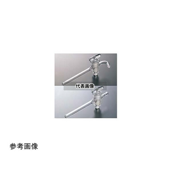 緑であること活動の領域