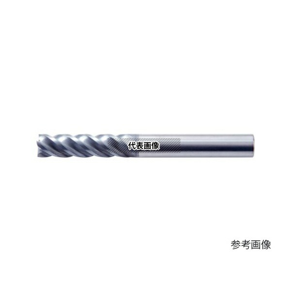 緑であること活動の領域