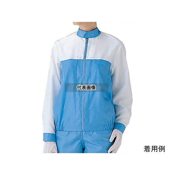 緑であること活動の領域
