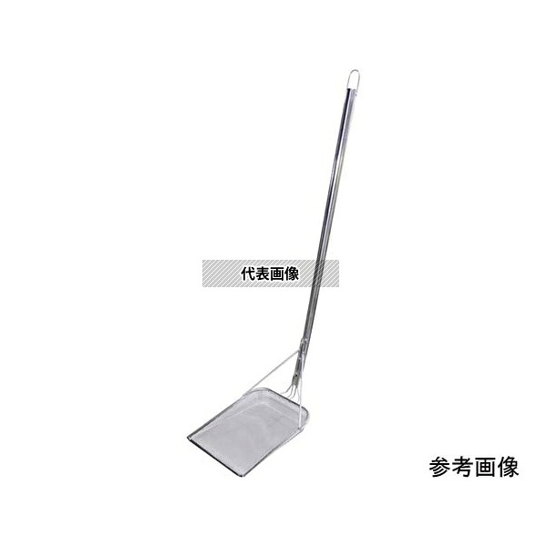 緑であること活動の領域